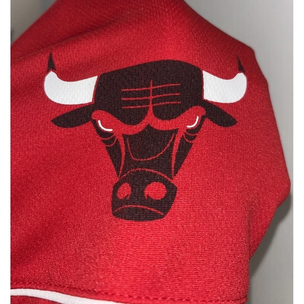 NBA‎ Chicago Bulls Baseball Jersey Youth L 14-16 Pinstripe Colorblock UNK Icer